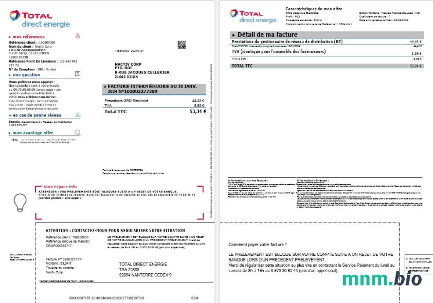 France Total Direct Energie rachunek za usługi komunalne szablon w formatach Word i PDF